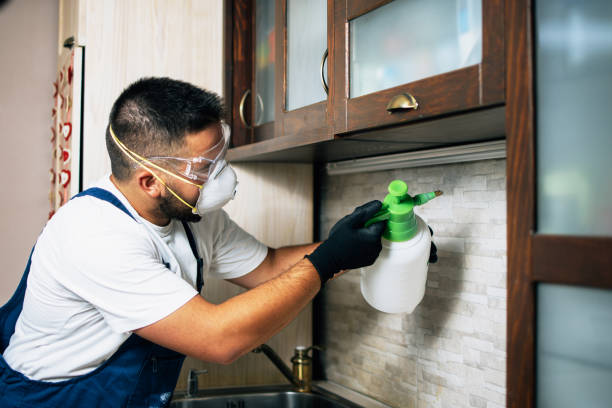 Best Termite Control Services  in Ecru, MS