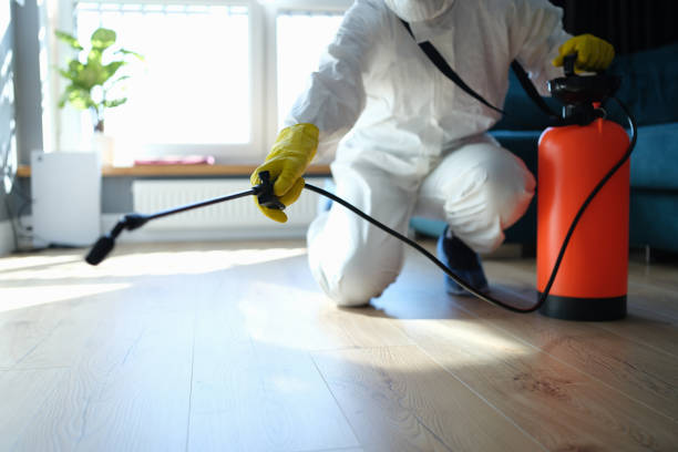 Best Pest Inspection Near Me  in Ecru, MS